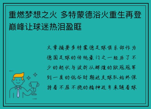 重燃梦想之火 多特蒙德浴火重生再登巅峰让球迷热泪盈眶